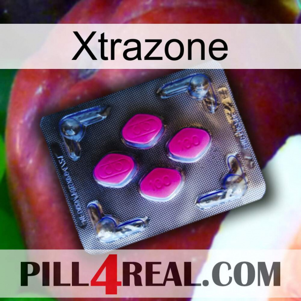 Xtrazone 02.jpg